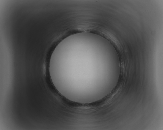 X0000101950404200807180707