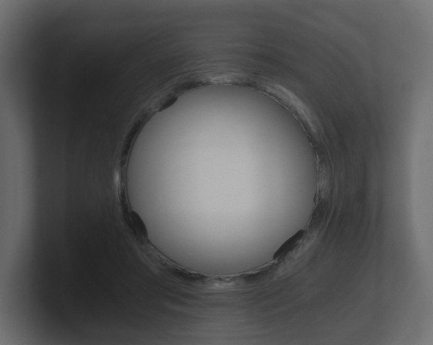 X0000101950405200807180707