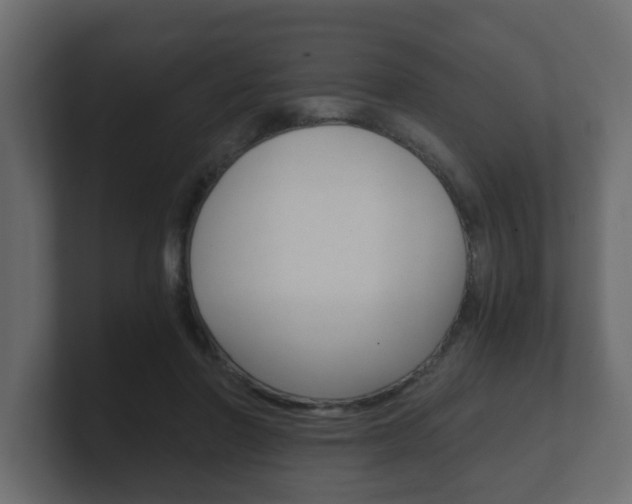 X0000101950406200807180707