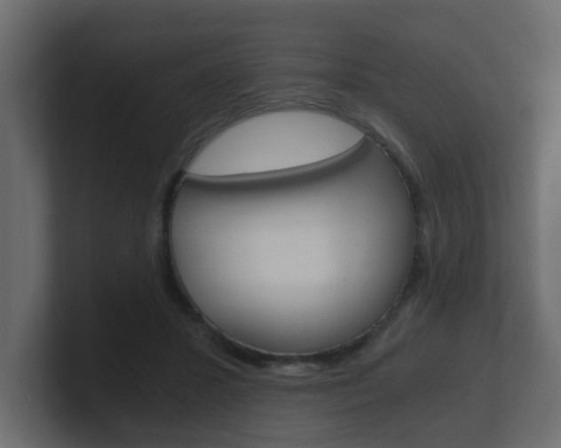 X0000101950407200807180707