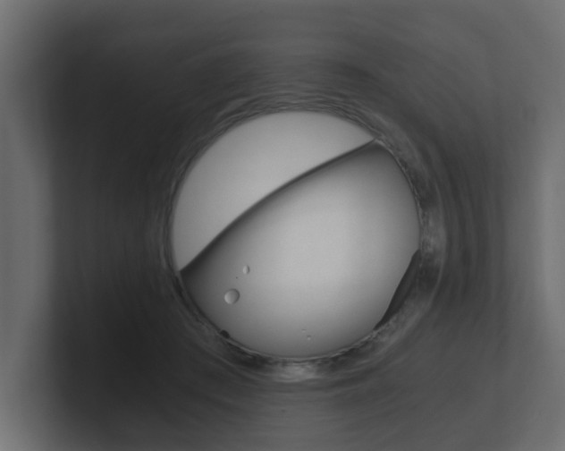 X0000101950409200807180707