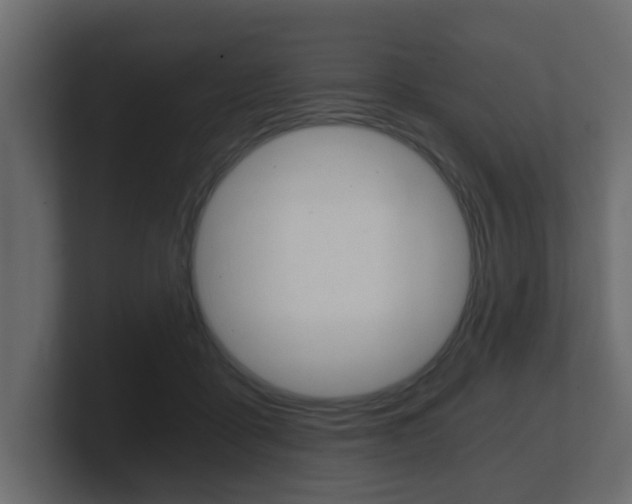 X0000101950411200807180707