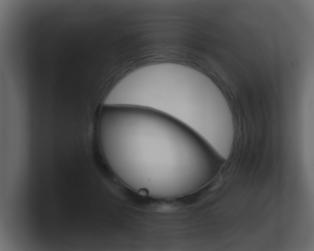 X0000101950412200807180707