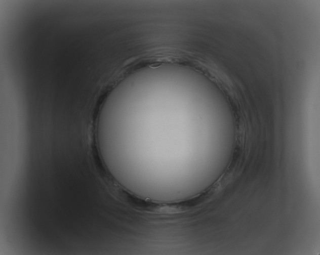 X0000101950413200807180706