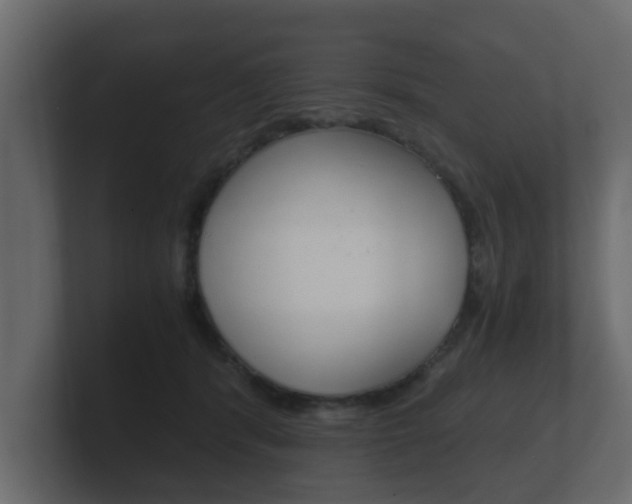 X0000101950416200807180706