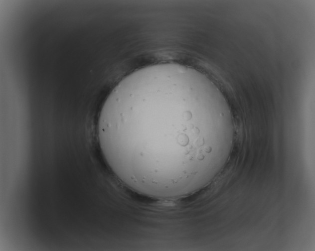 X0000101950418200807180706