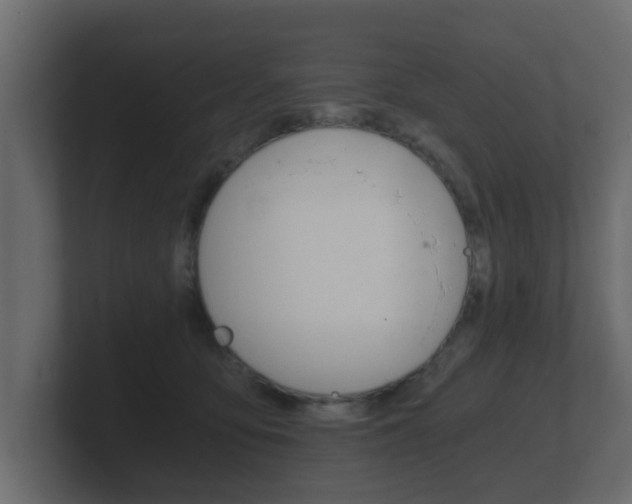 X0000101950419200807180706