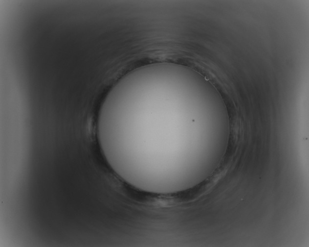 X0000101950420200807180706