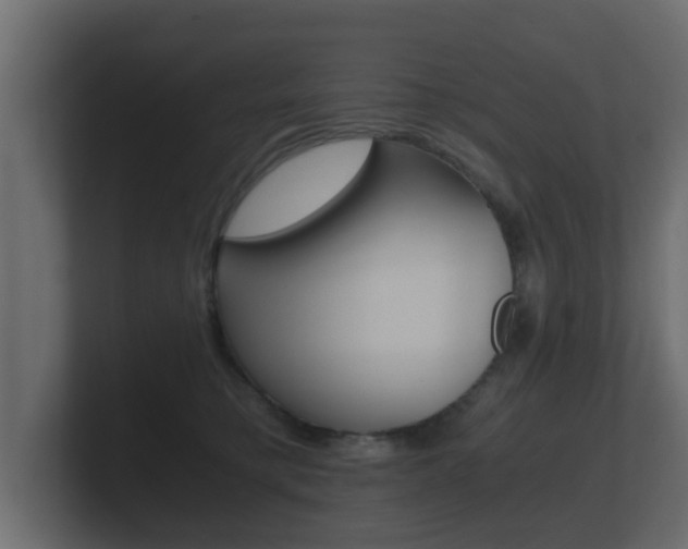 X0000101950421200807180706