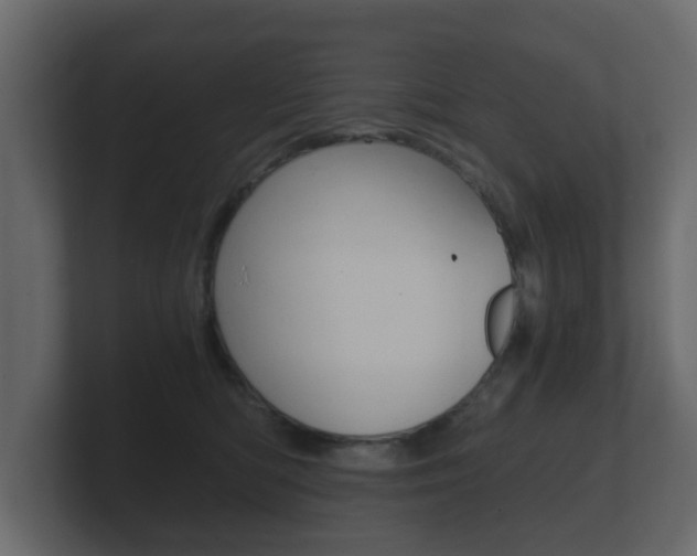 X0000101950422200807180706