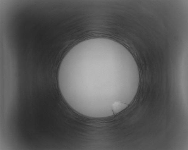 X0000101950423200807180706