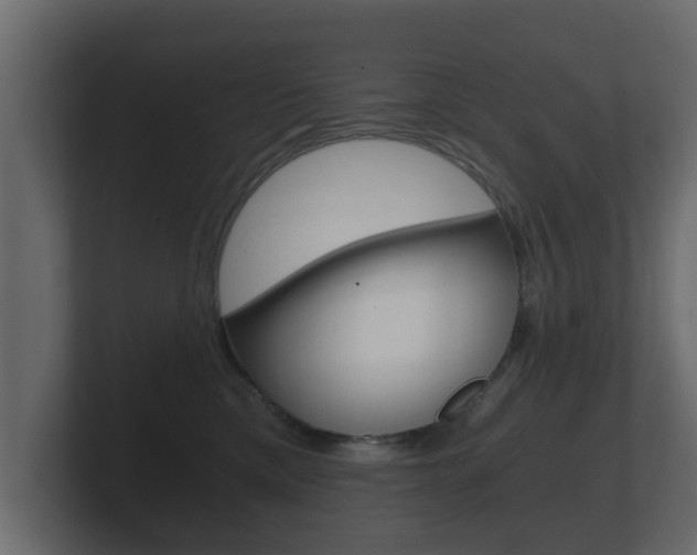 X0000101950425200807180706