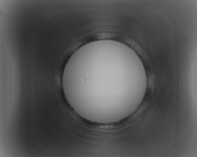 X0000101950426200807180706