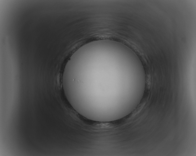 X0000101950428200807180706