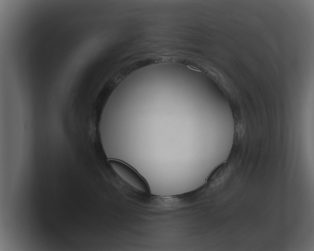 X0000101950429200807180706