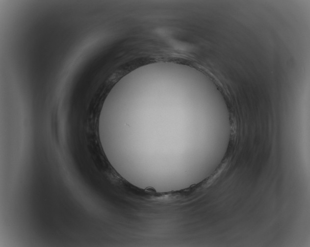 X0000101950430200807180706