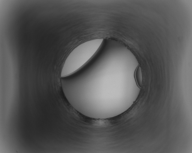 X0000101950432200807180706