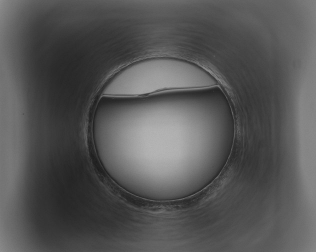 X0000101950434200807180706