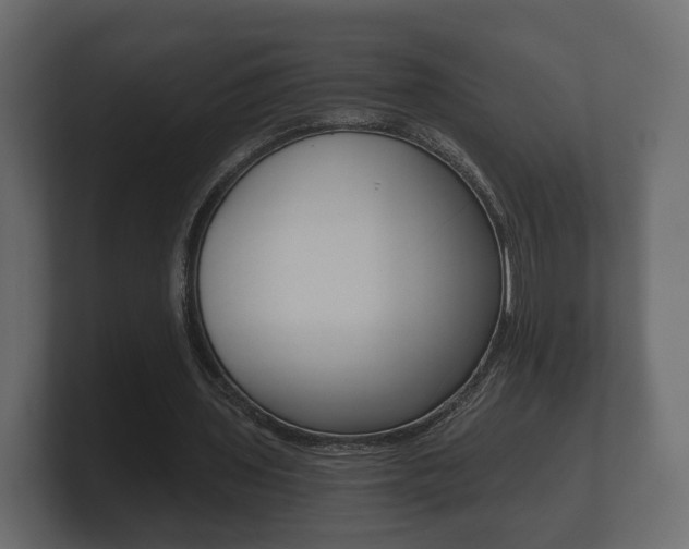 X0000101950435200807180706