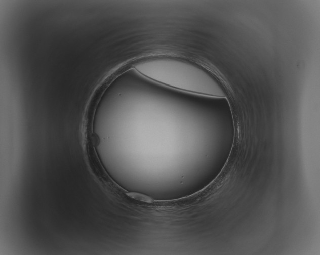 X0000101950436200807180706