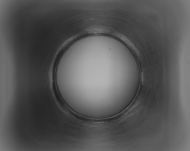 X0000101950438200807180706