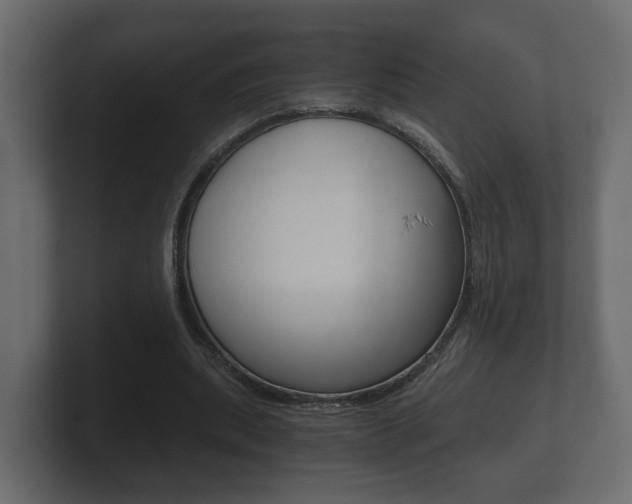 X0000101950439200807180706