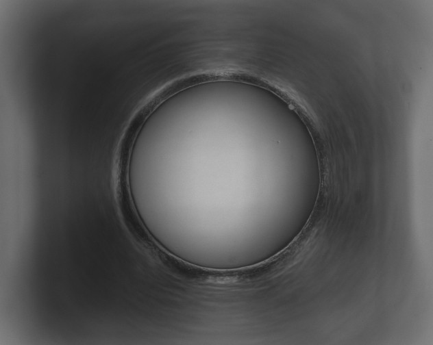 X0000101950440200807180706