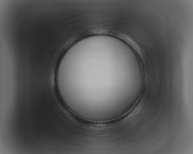 X0000101950441200807180706