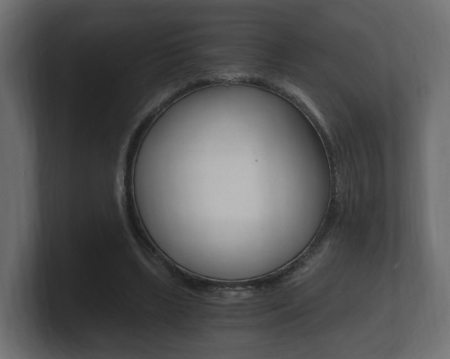 X0000101950443200807180706