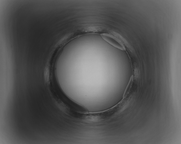 X0000101950444200807180706