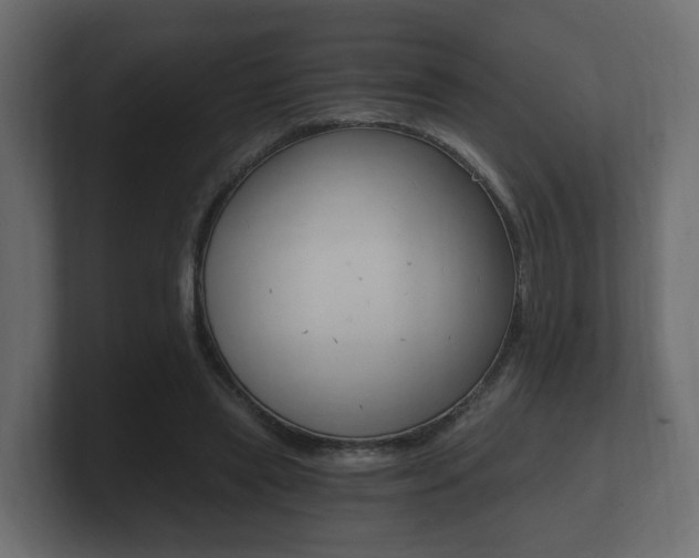 X0000101950445200807180706