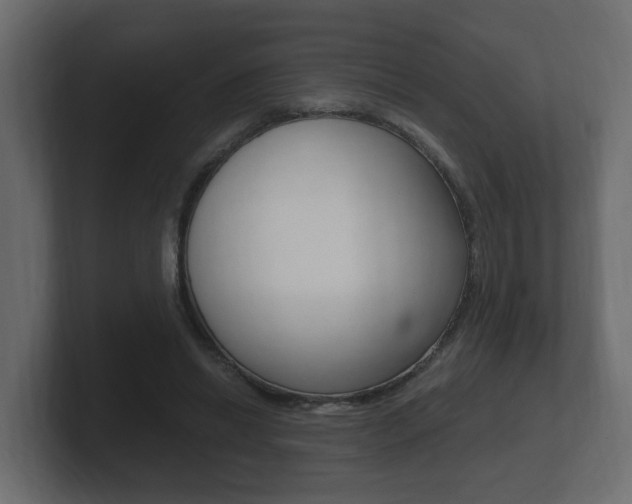 X0000101950446200807180706