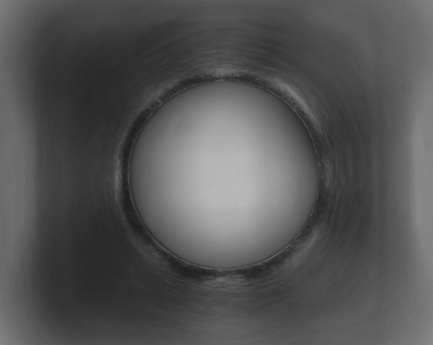 X0000101950447200807180706