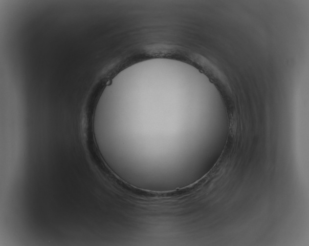 X0000101950448200807180706