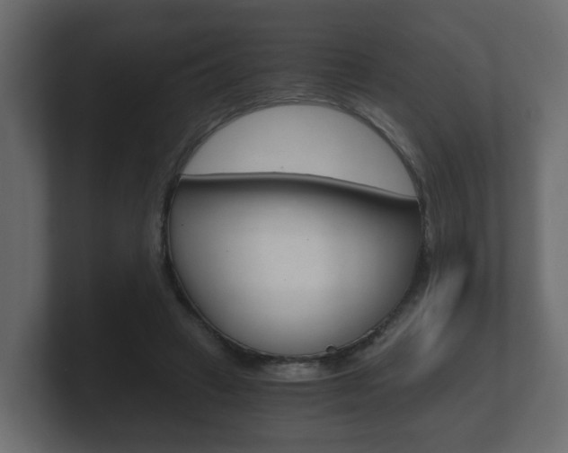 X0000101950449200807180706