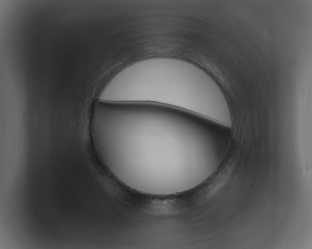 X0000101950450200807180706