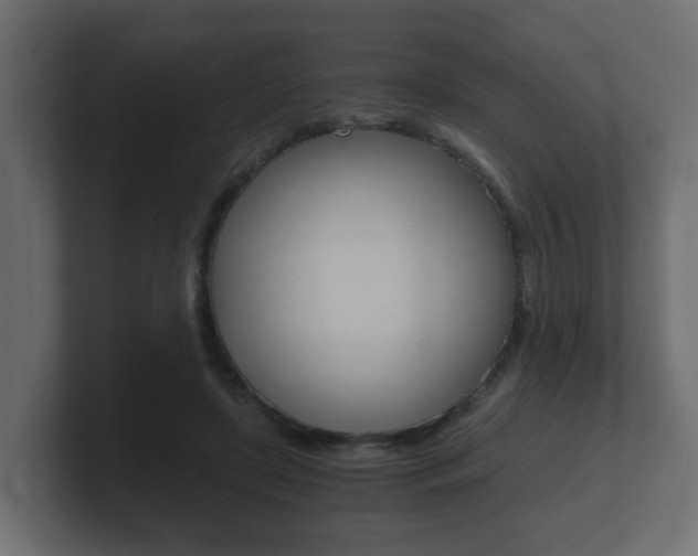 X0000101950451200807180706