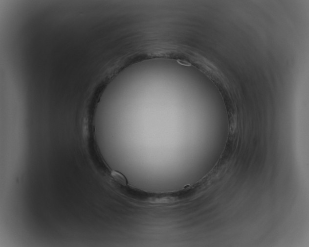 X0000101950452200807180706