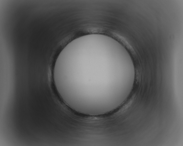 X0000101950453200807180706