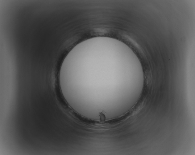 X0000101950455200807180706