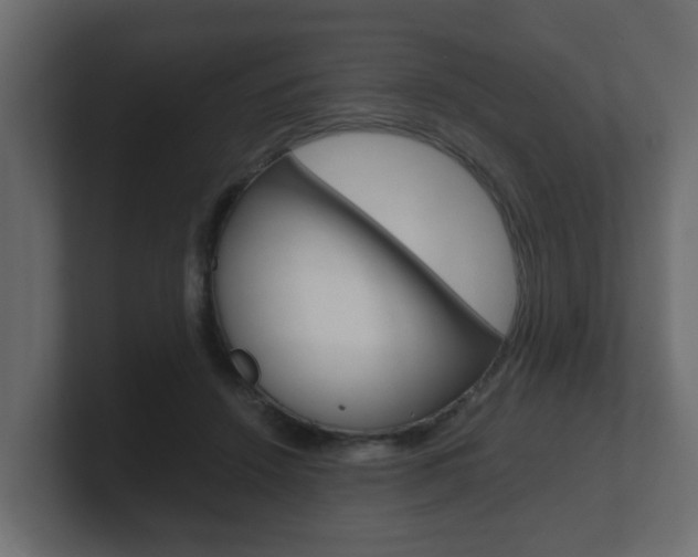 X0000101950456200807180706