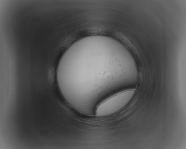 X0000101950458200807180706