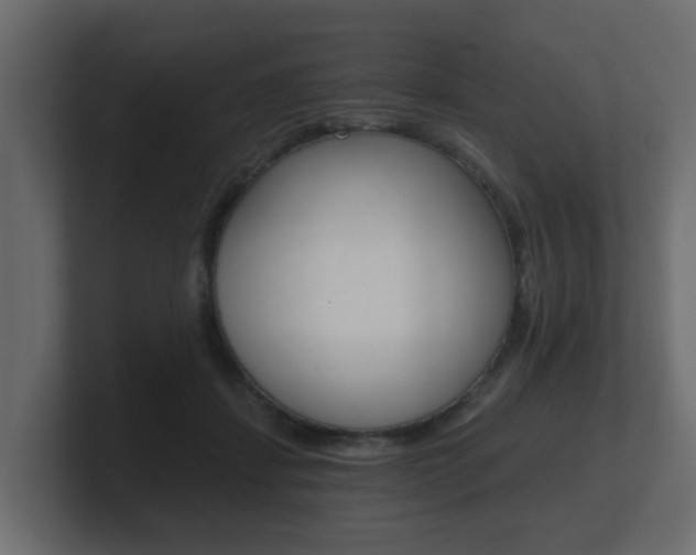 X0000101950459200807180706