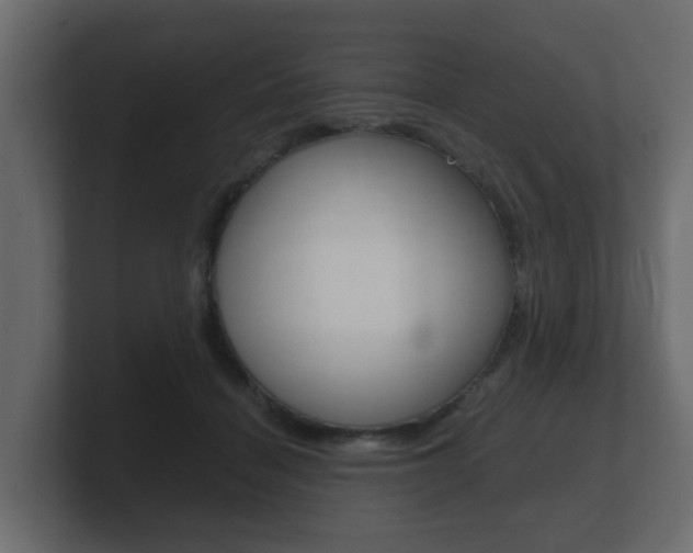 X0000101950460200807180706