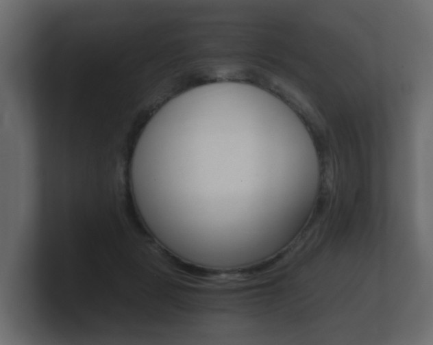 X0000101950461200807180706