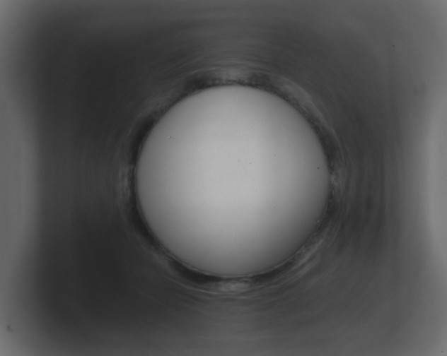 X0000101950462200807180706