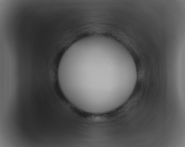 X0000101950464200807180706