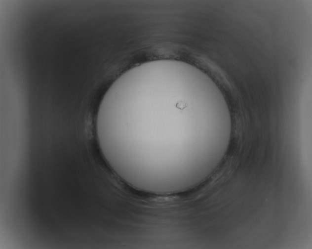 X0000101950465200807180706