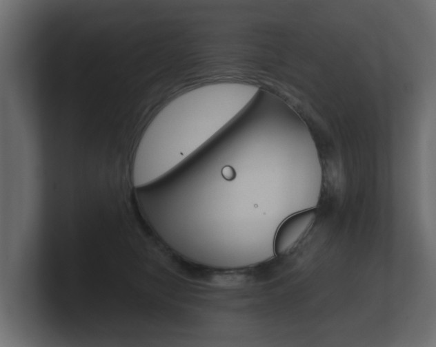 X0000101950470200807180706