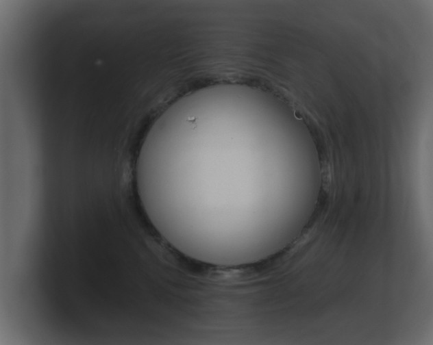 X0000101950472200807180706